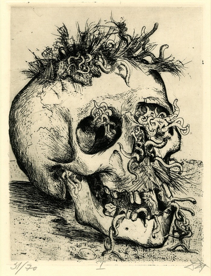 Bildergebnis für krieg illusion